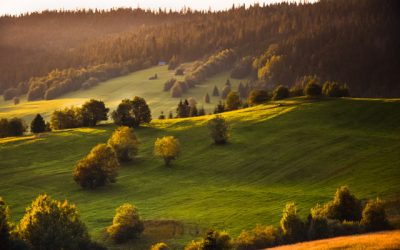 Odolnosť európskych lesov